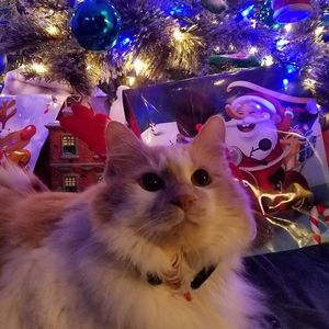 Meet your Posher, Sandy linker